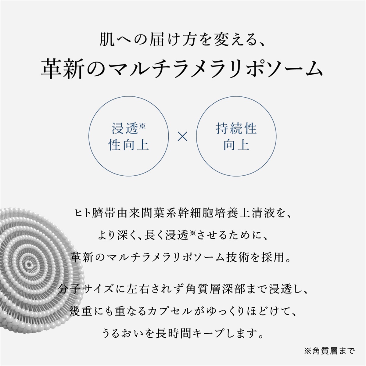 通常】エテルナム ローション（化粧水） | エテルナム公式ブランドショップ