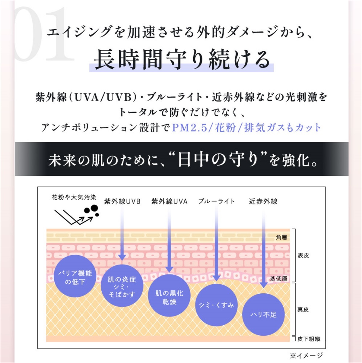【新品】エテルナム　BCエッセンスUVプライマーA ピンクパープル　美容液 通常】エテルナム エッセンスUVプライマー | エテルナム公式ブランド